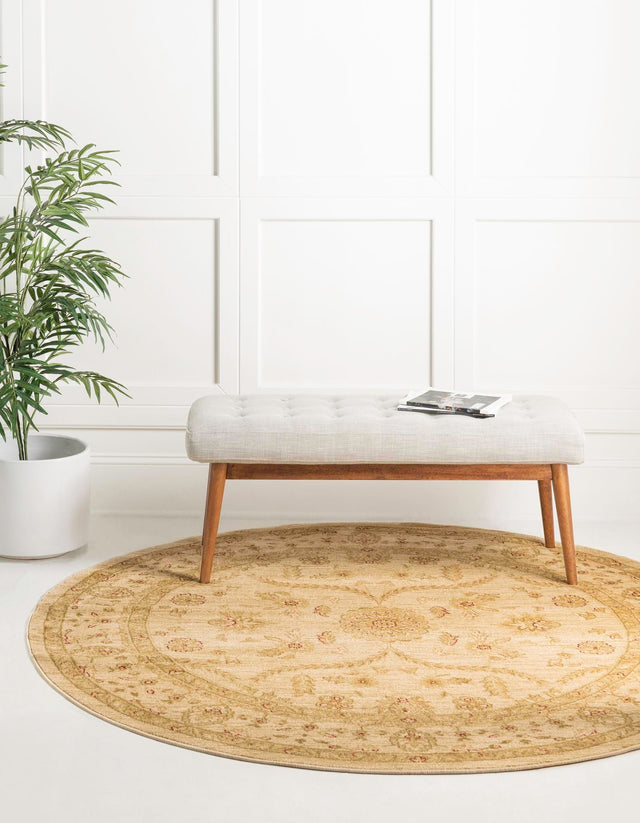 Cream 6' 1 x 6' 1 Edinburgh Round Area Rug 100% Polypropylene Easy Clean With Cotton Backing Traditional Classic Design Carpet for Living, Dining Room, Office for Sale at Rug Engine