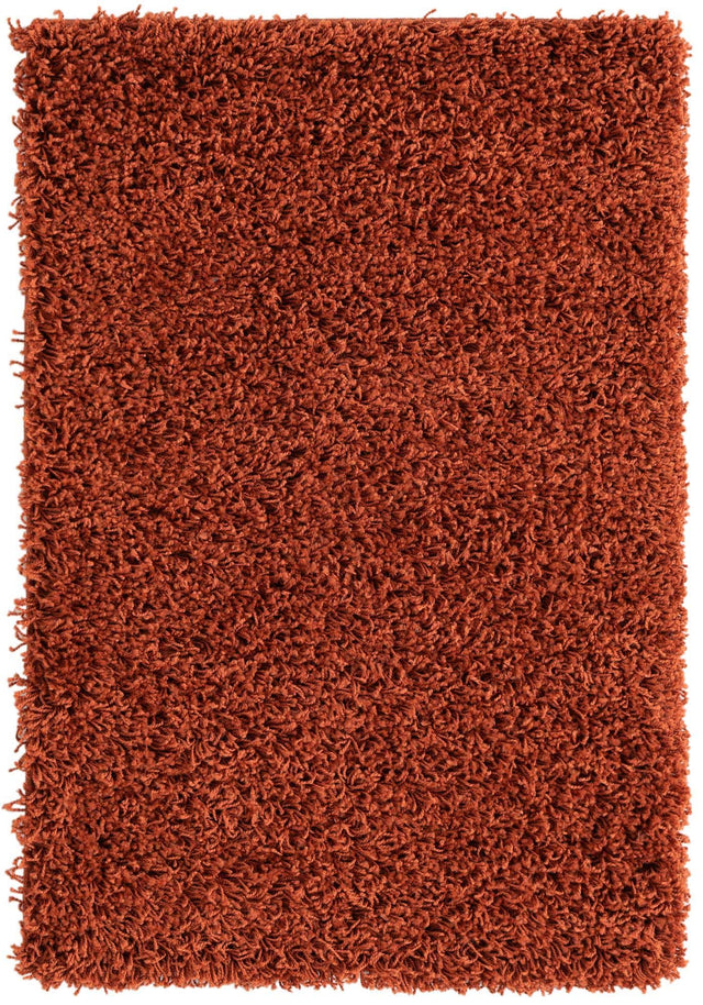 Terracotta 2' x 3' 1 Solid Shag Rectangle Area Rug Thick Soft Touch Fluffy & Plush Shaggy Pile Discounted Clearance Final Sale