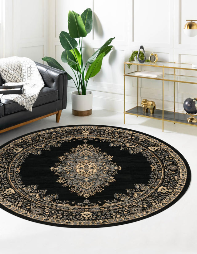 Black 6' 1 x 6' 1 Reza Round Area Rug 100% Polypropylene Easy Clean Traditional Motif Classic Carpet for Home Interiors for Sale at Rug Engine