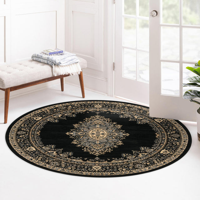 Black 6' 1 x 6' 1 Reza Round Area Rug 100% Polypropylene Easy Clean Traditional Motif Classic Carpet for Home Interiors for Sale at Rug Engine