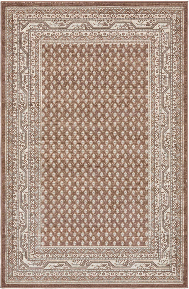 Brown 5' 1 x 8' Williamsburg Rectangle Area Rug 100% Polypropylene With Cotton Backing Durable Easy Clean Stain Resistant Carpet for Sale at Rug Engine