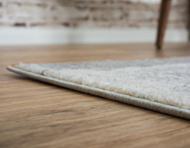 Gray 4' 1 x 6' 1 Tradition Rectangle Area Rug Traditional Classic Vintage Design Carpet for Living Room, Bedrooms, Dining, Office Space for Sale at Rug Engine