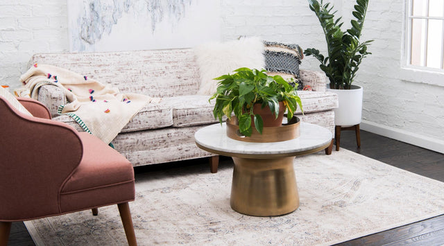 Beige 10' x 14' 5 Chateau Rectangle Area Rug 85% Polypropylene & 15% Chenille With Cotton Backing Traditional Vintage Distressed Carpet for Classical Interior Design Decorating for Sale at Rug Engine