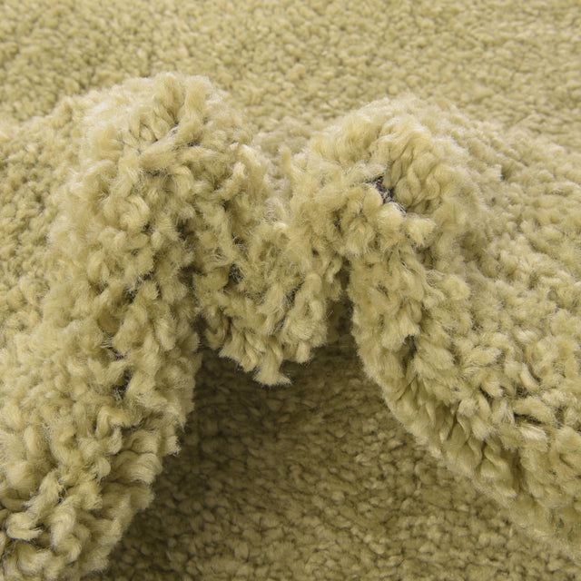 Light Green 2' 2 x 3' 1 Solo Rectangle Area Rug Thick Soft Touch Fluffy & Plush Shaggy Pile