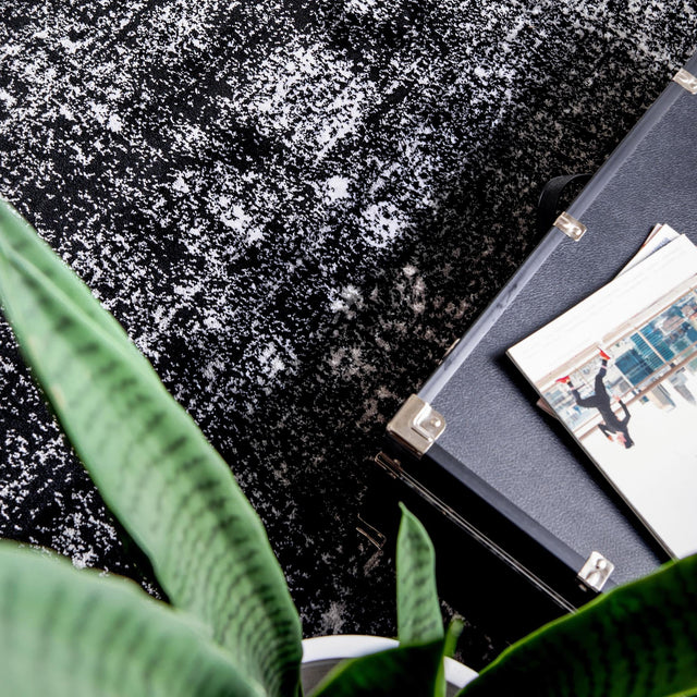 Black 3' 1 x 5' 3 Sofia Rectangle Area Rug Durable Easy Clean Stain Resistant Unique Carpet for Affordable Interior Home Design for Sale at Rug Engine