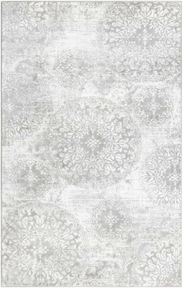 Light Gray 5' 3 x 8' Sofia Rectangle Area Rug Durable Easy Clean Stain Resistant Unique Carpet for Affordable Interior Home Design for Sale at Rug Engine