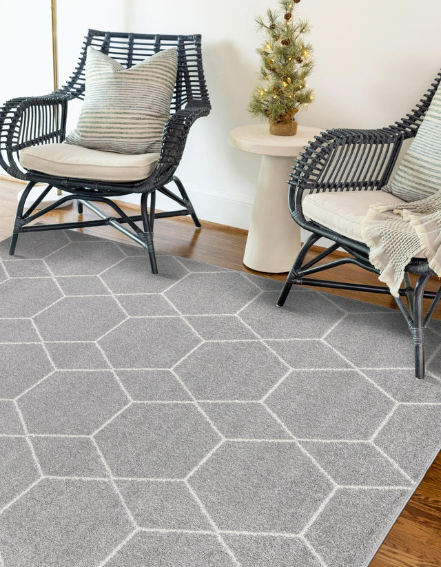 Light Gray 4' 1 x 6' 1 Trellis Frieze Rectangle Area Rug Discounted Clearance Final Sale Geometric Modern Unique Stain Resistant Easy Clean Carpet for Living, Dining, Bedrooms, Office for Sale at Rug Engine