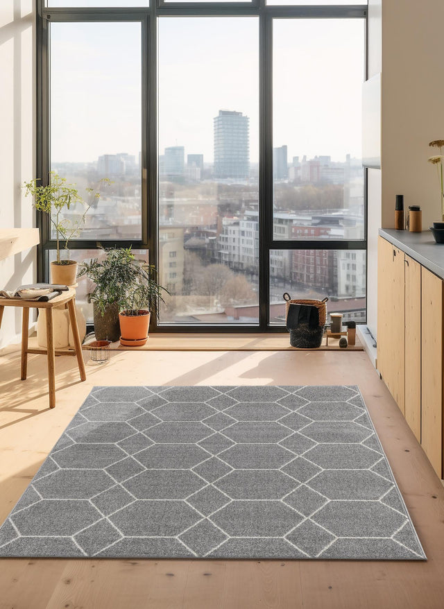 Light Gray 4' 1 x 6' 1 Trellis Frieze Rectangle Area Rug Discounted Clearance Final Sale Geometric Modern Unique Stain Resistant Easy Clean Carpet for Living, Dining, Bedrooms, Office for Sale at Rug Engine