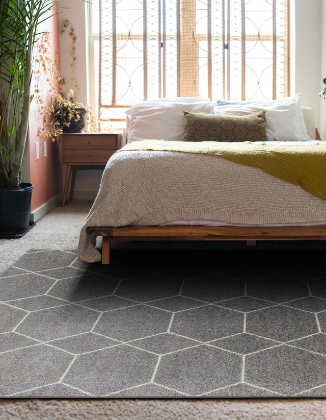 Light Gray 4' 1 x 6' 1 Trellis Frieze Rectangle Area Rug Discounted Clearance Final Sale Geometric Modern Unique Stain Resistant Easy Clean Carpet for Living, Dining, Bedrooms, Office for Sale at Rug Engine