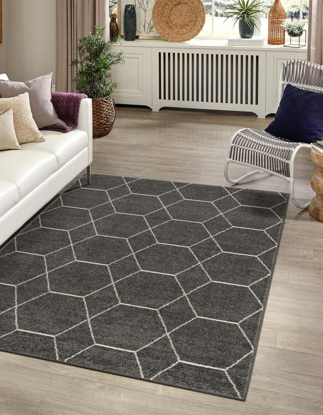 Dark Gray 4' 1 x 6' 1 Trellis Frieze Rectangle Area Rug Discounted Clearance Final Sale Geometric Modern Unique Stain Resistant Easy Clean Carpet for Living, Dining, Bedrooms, Office for Sale at Rug Engine