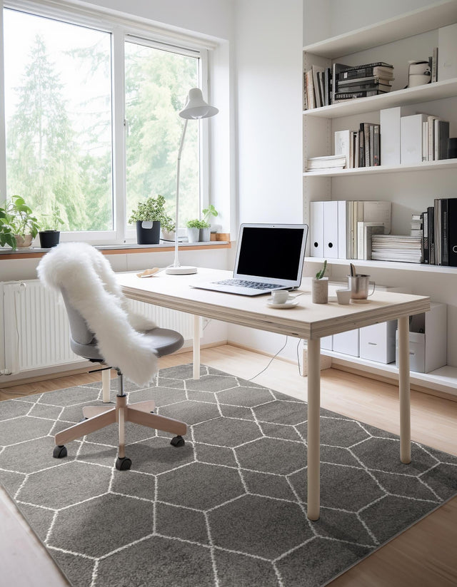 Dark Gray 4' 1 x 6' 1 Trellis Frieze Rectangle Area Rug Discounted Clearance Final Sale Geometric Modern Unique Stain Resistant Easy Clean Carpet for Living, Dining, Bedrooms, Office for Sale at Rug Engine