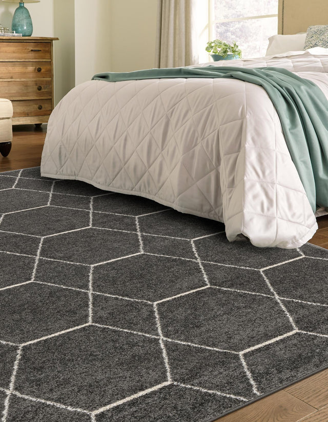 Dark Gray 4' 1 x 6' 1 Trellis Frieze Rectangle Area Rug Discounted Clearance Final Sale Geometric Modern Unique Stain Resistant Easy Clean Carpet for Living, Dining, Bedrooms, Office for Sale at Rug Engine