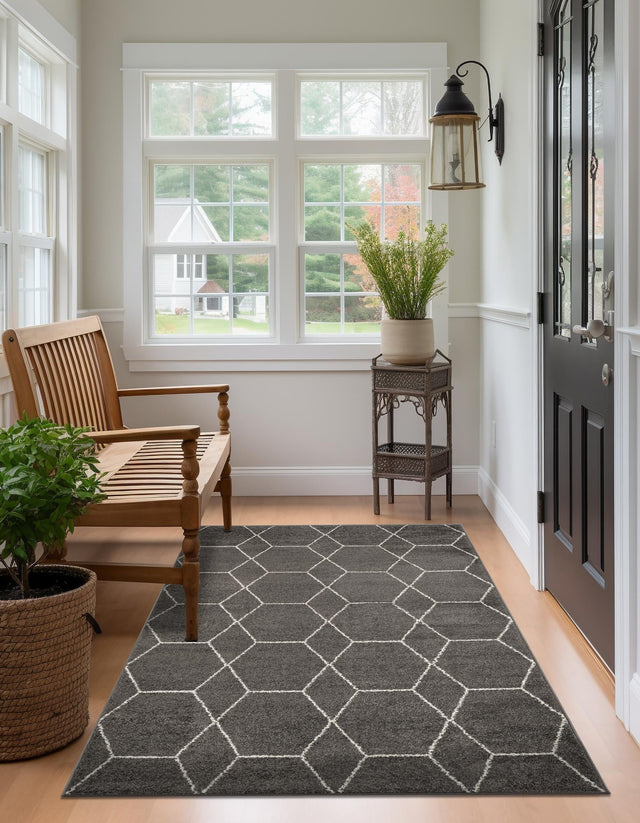Dark Gray 4' 1 x 6' 1 Trellis Frieze Rectangle Area Rug Discounted Clearance Final Sale Geometric Modern Unique Stain Resistant Easy Clean Carpet for Living, Dining, Bedrooms, Office for Sale at Rug Engine