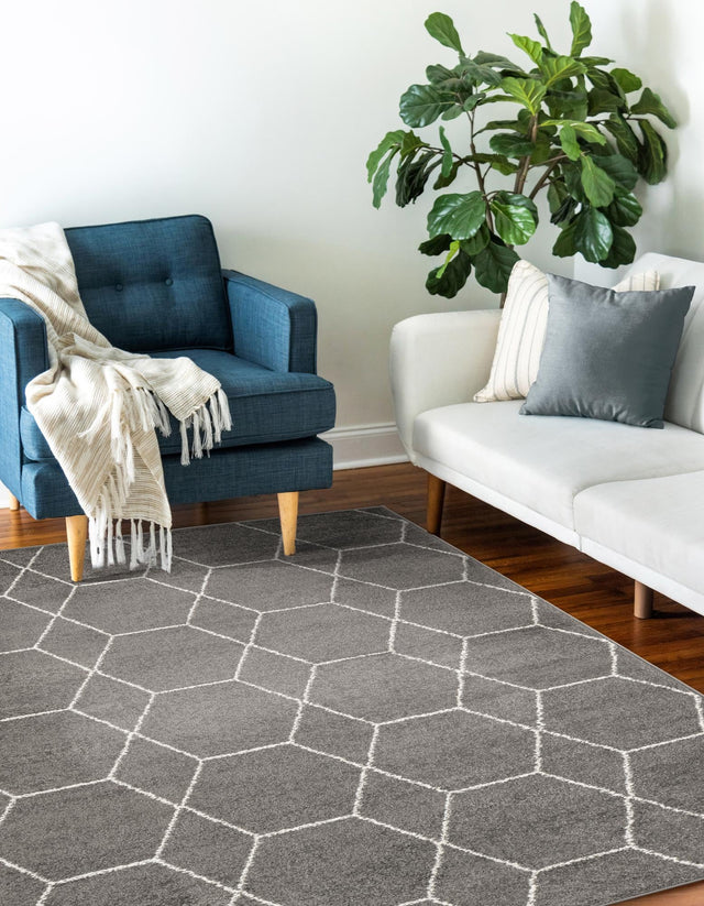 Dark Gray 4' 1 x 6' 1 Trellis Frieze Rectangle Area Rug Discounted Clearance Final Sale Geometric Modern Unique Stain Resistant Easy Clean Carpet for Living, Dining, Bedrooms, Office for Sale at Rug Engine
