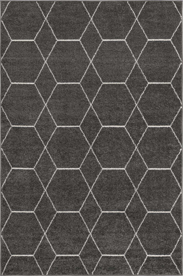Dark Gray 4' 1 x 6' 1 Trellis Frieze Rectangle Area Rug Discounted Clearance Final Sale Geometric Modern Unique Stain Resistant Easy Clean Carpet for Living, Dining, Bedrooms, Office for Sale at Rug Engine