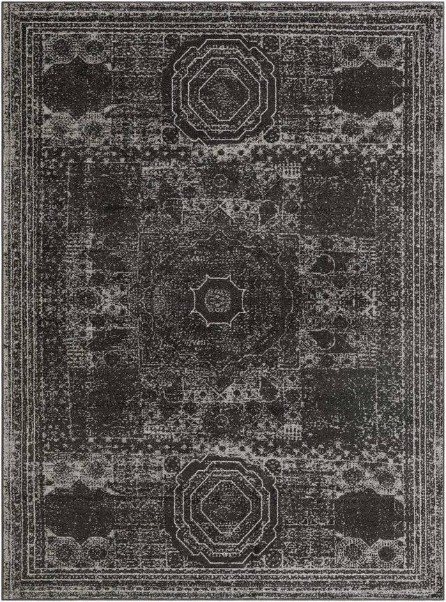 Dark Gray 9' x 12' Bromley Rectangle Area Rug 100% Polypropylene With Cotton Backing Vintage Distressed Colorful Traditional Carpet for Living Dining Rooms Offices for Sale at Rug Engine
