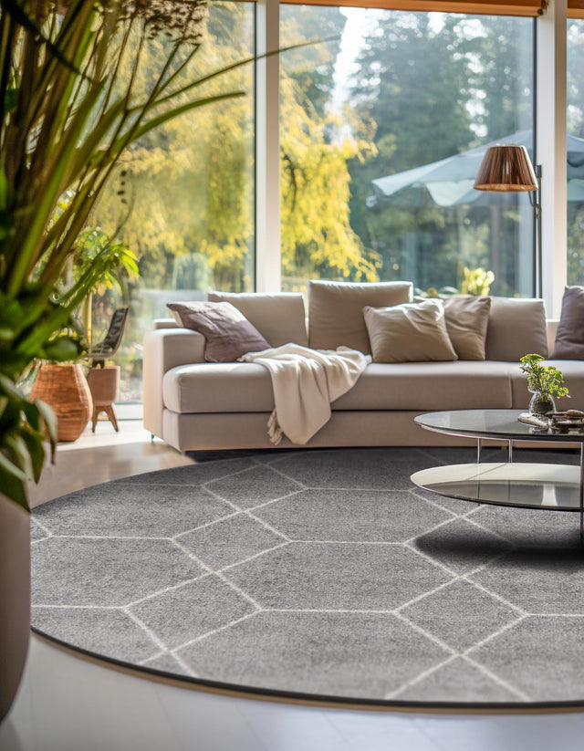 Light Gray 6' 1 x 6' 1 Trellis Frieze Round Area Rug Geometric Modern Unique Stain Resistant Easy Clean Carpet for Living, Dining, Bedrooms, Office for Sale at Rug Engine