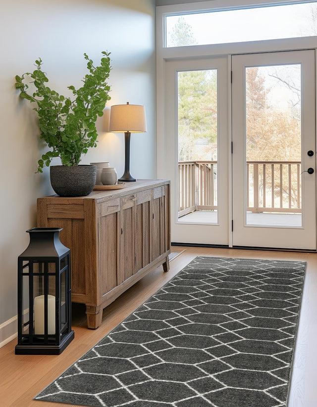 Dark Gray 2' x 10' Trellis Frieze Runner Area Rug Geometric Modern Unique Stain Resistant Easy Clean Carpet for Living, Dining, Bedrooms, Office for Sale at Rug Engine