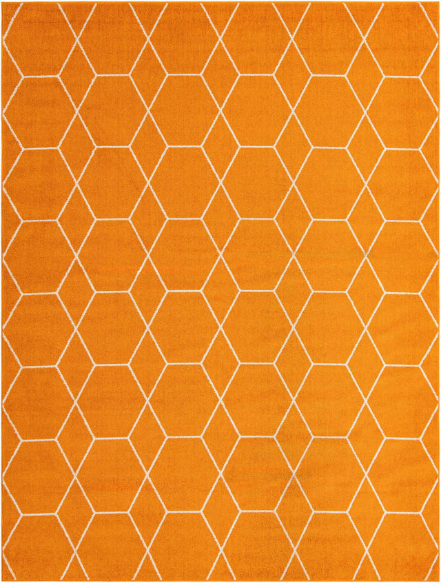 Orange 9' x 12' Trellis Frieze Rectangle Area Rug Geometric Modern Unique Stain Resistant Easy Clean Carpet for Living, Dining, Bedrooms, Office for Sale at Rug Engine