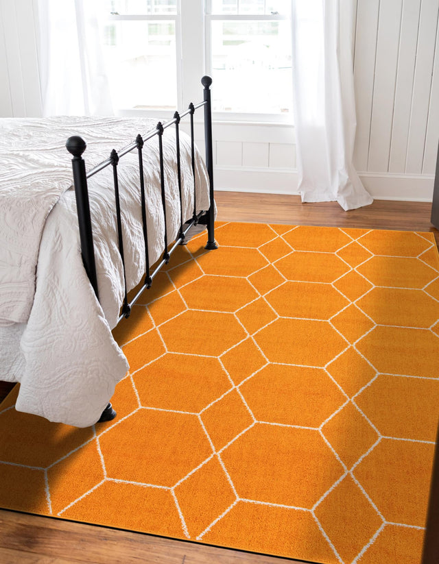 Orange 3' 1 x 5' 3 Trellis Frieze Rectangle Area Rug Geometric Modern Unique Stain Resistant Easy Clean Carpet for Living, Dining, Bedrooms, Office for Sale at Rug Engine