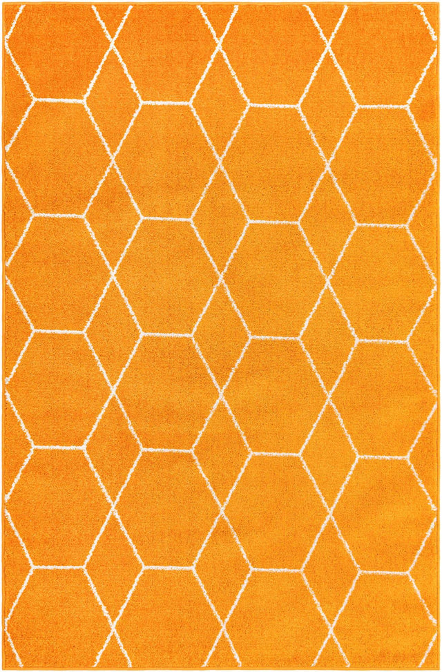 Orange 4' 1 x 6' 1 Trellis Frieze Rectangle Area Rug Geometric Modern Unique Stain Resistant Easy Clean Carpet for Living, Dining, Bedrooms, Office for Sale at Rug Engine