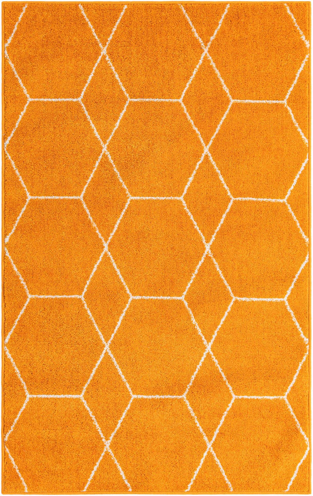 Orange 3' 1 x 5' 3 Trellis Frieze Rectangle Area Rug Geometric Modern Unique Stain Resistant Easy Clean Carpet for Living, Dining, Bedrooms, Office for Sale at Rug Engine