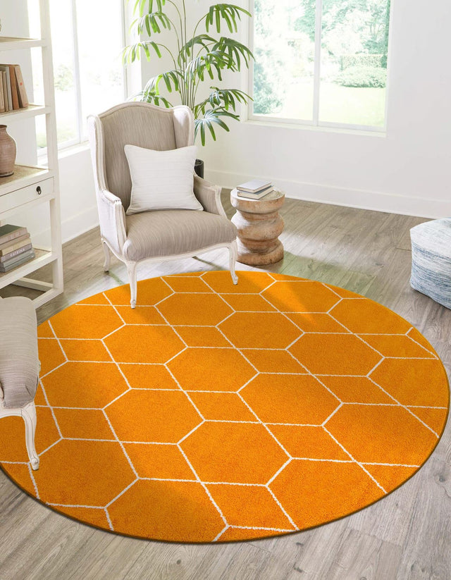 Orange 7' 10 x 7' 10 Trellis Frieze Round Area Rug Geometric Modern Unique Stain Resistant Easy Clean Carpet for Living, Dining, Bedrooms, Office for Sale at Rug Engine