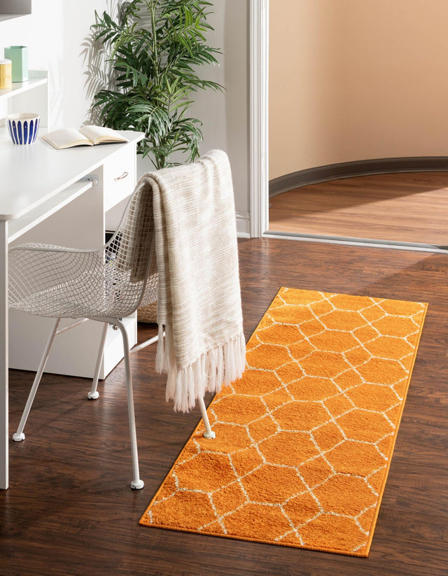 Orange 2' x 13' 1 Trellis Frieze Runner Area Rug Geometric Modern Unique Stain Resistant Easy Clean Carpet for Living, Dining, Bedrooms, Office for Sale at Rug Engine