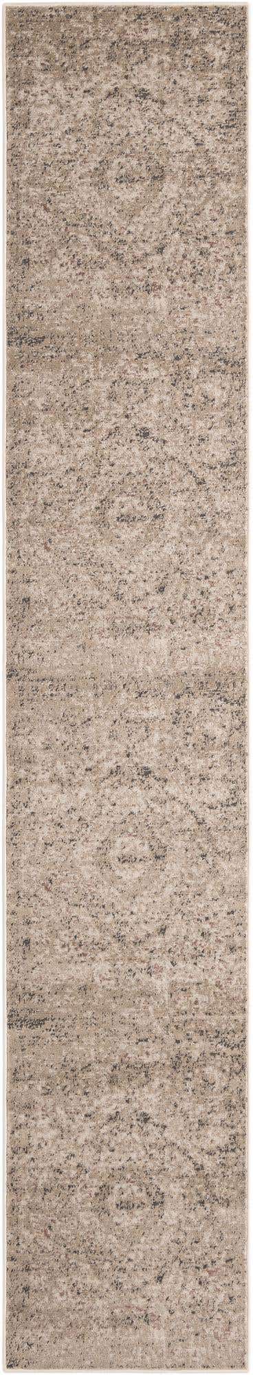 Beige 2' 2 x 12' Portland Runner Area Rug 85% Polypropylene & 15% Polyester Vintage Distressed Traditional Carpet for Home Decor for Sale at Rug Engine