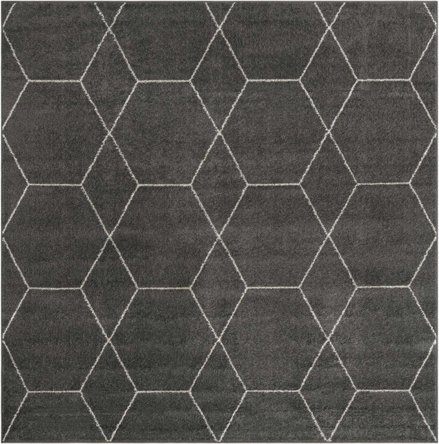 Dark Gray 4' 1 x 4' 1 Trellis Frieze Square Area Rug Geometric Modern Unique Stain Resistant Easy Clean Carpet for Living, Dining, Bedrooms, Office for Sale at Rug Engine