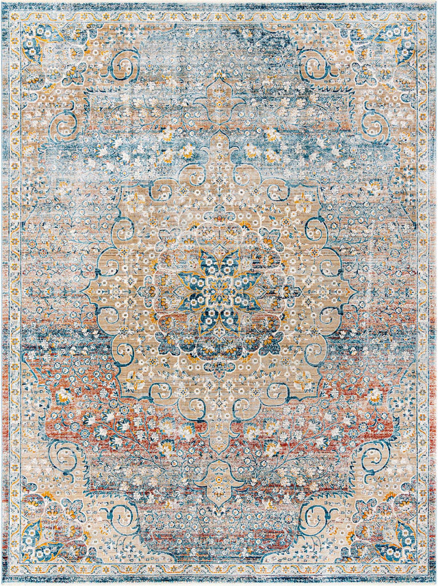 Multicolor 9' x 12' Newport Rectangle Area Rug 100% Polypropylene Traditional Distressed Classic Contemporary Carpet for Home Decor for Sale at Rug Engine