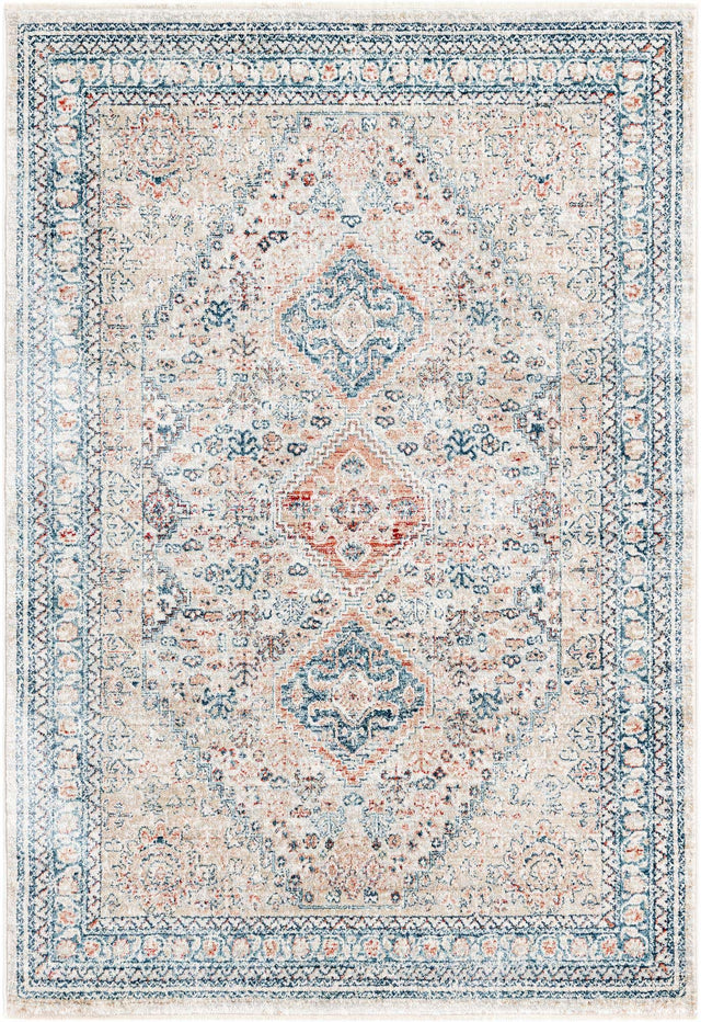 Multicolor 4' x 5' 11 Newport Rectangle Area Rug 100% Polypropylene Traditional Distressed Classic Contemporary Carpet for Home Decor for Sale at Rug Engine