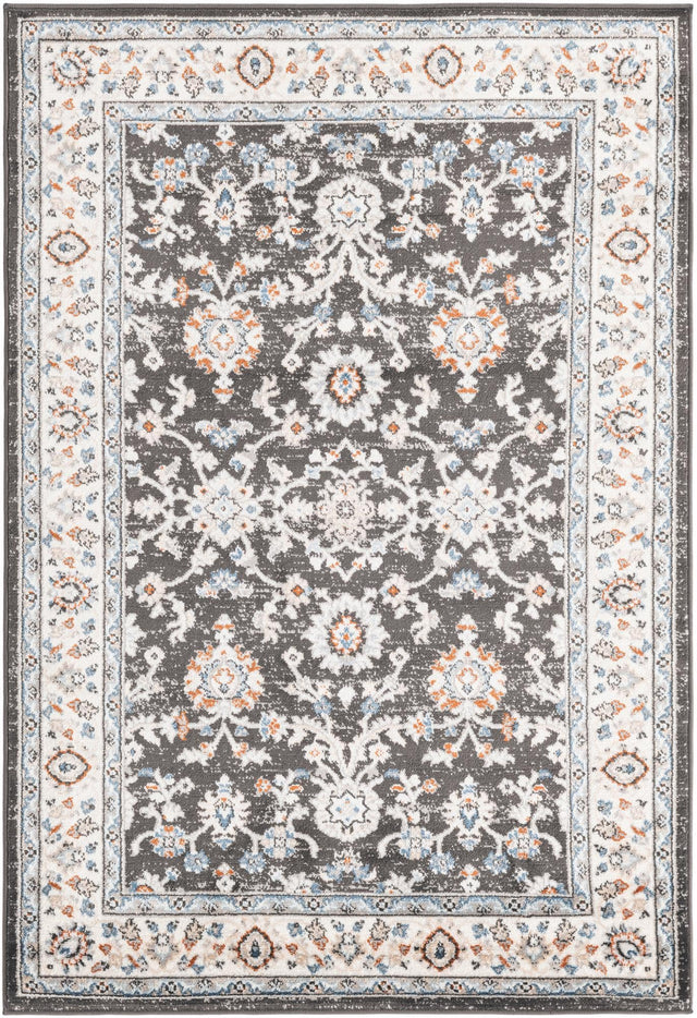 Fume Gray 4' 1 x 6' 1 Charlotte Rectangle Area Rug 100% Polypropylene With Jute Backing Traditional Classical Durable Carpet for Living Dining Office Rooms for Sale at Rug Engine