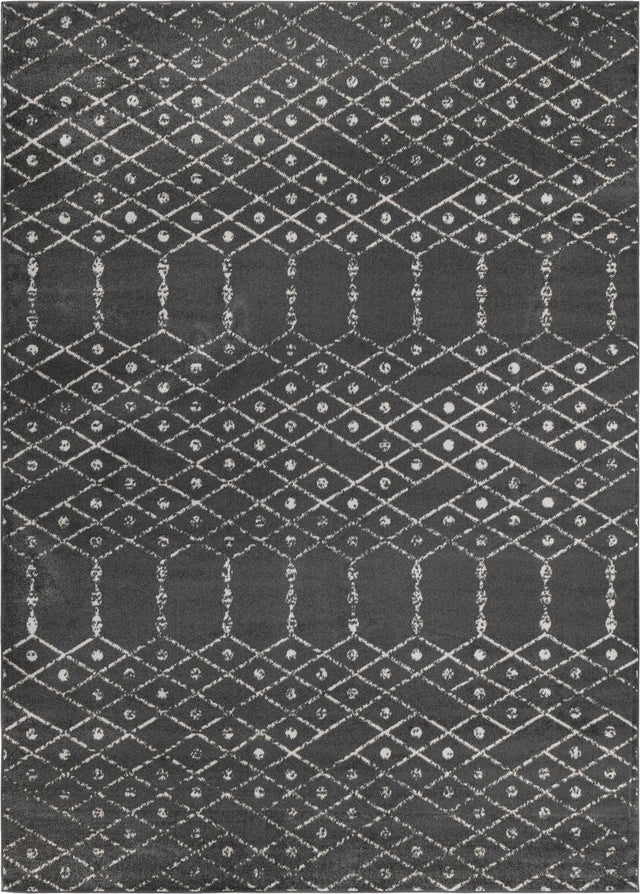 Charcoal Gray 10' x 14' Paxon Trellis Rectangle Area Rug Geometric Durable Stain Resistant Easy Clean Carpet for Modern Interior Home Decor for Sale at Rug Engine