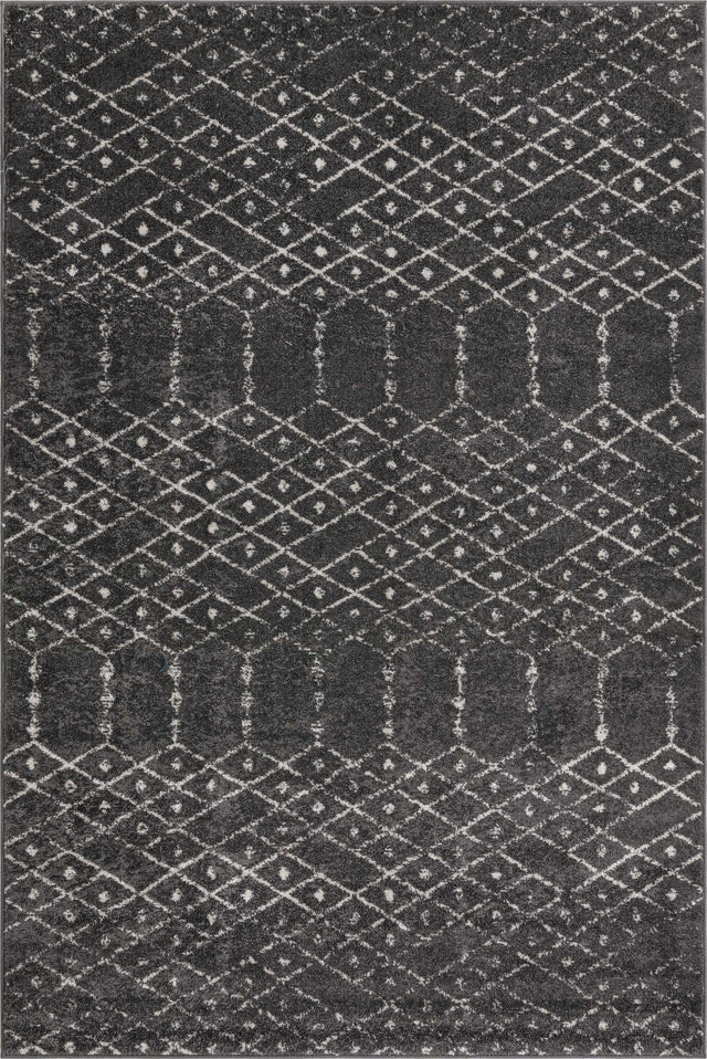 Charcoal Gray 4' x 6' Paxon Trellis Rectangle Area Rug Geometric Durable Stain Resistant Easy Clean Carpet for Modern Interior Home Decor for Sale at Rug Engine