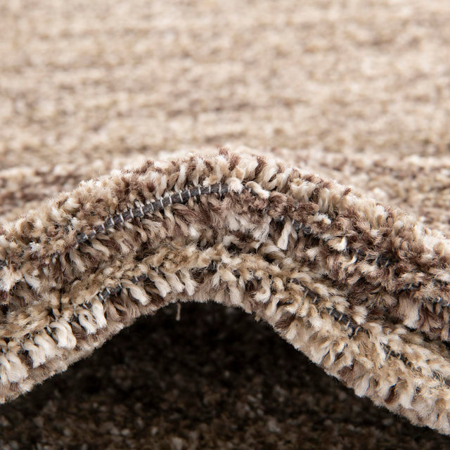 Light Brown 4' 1 x 6' 1 Del Mar Rectangle Area Rug 100% Polypropylene Easy Clean Stain Resistant Vivid Modern Carpet Mat for Home Decor Interior Designing for Sale at Rug Engine