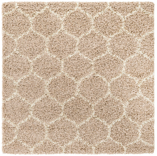 Light Brown 5' 3 x 5' 3 Trellis Shag Square Area Rug Thick Soft Touch Fluffy & Plush Shaggy Pile Geometric Modern Unique Carpet for Home Interior Design for Sale at Rug Engine