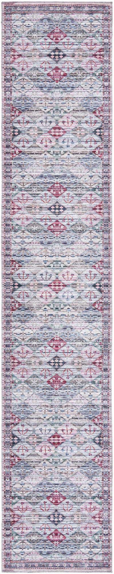 Washable Multicolor 2' 7 x 13' Mangata Runner Area Rug Easy to Clean Stain Resistant & Durable Chenille Traditional Vintage Distressed Carpet for Sale at Rug Engine