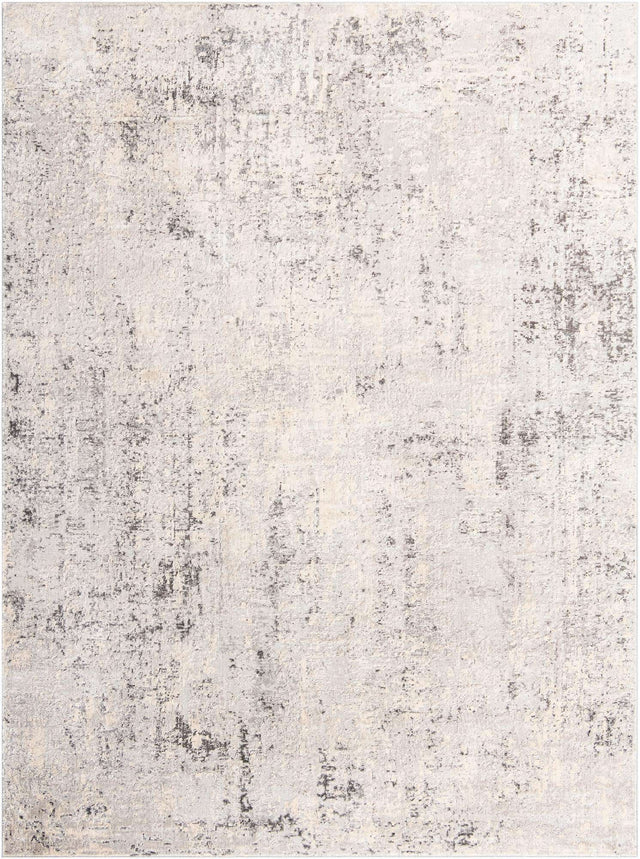 Gray 10' x 13' 1 Caspian Rectangle Area Rug 60% Polypropylene & 40% Polyester With Cotton Backing Modern Chic Carpet for Home Interior Design Decorating for Sale at Rug Engine