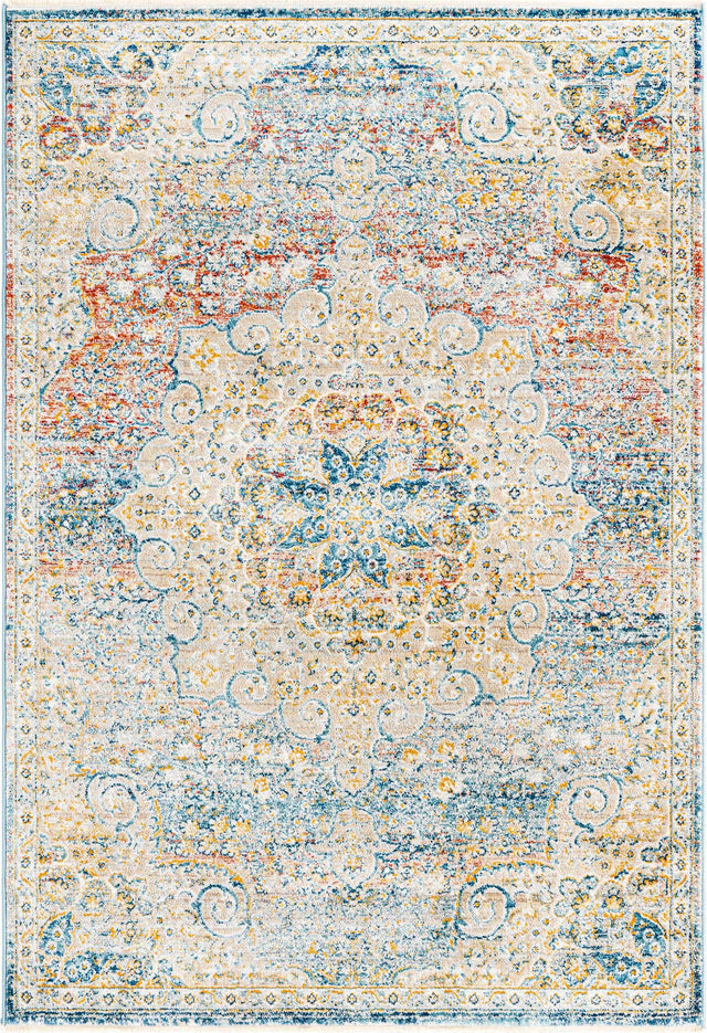 Multicolor 2' x 3' 1 Newport Rectangle Area Rug 100% Polypropylene Traditional Distressed Classic Contemporary Carpet for Home Decor for Sale at Rug Engine