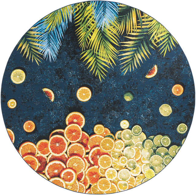 Multicolor 10' x 10' Outdoor Coastal Round Area Rug Weather Resistant for Patio, Deck, Terrace, Balcony, Porch 100% Polypropylene Coastal Decor Carpet for Sale at Rug Engine