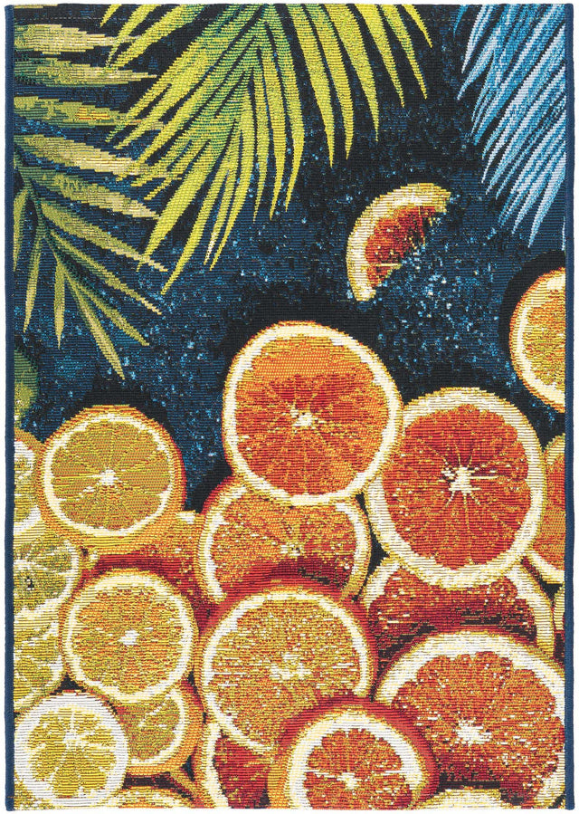 Multicolor 2' x 3' 1 Outdoor Coastal Rectangle Area Rug Weather Resistant for Patio, Deck, Terrace, Balcony, Porch 100% Polypropylene Coastal Decor Carpet for Sale at Rug Engine