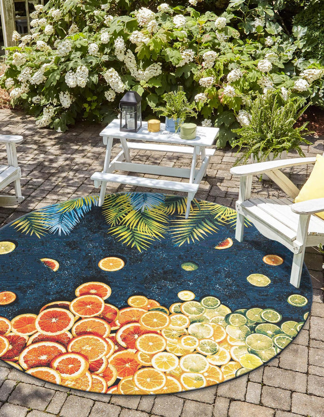 Multicolor 6' 1 x 6' 1 Outdoor Coastal Round Area Rug Weather Resistant for Patio, Deck, Terrace, Balcony, Porch 100% Polypropylene Coastal Decor Carpet for Sale at Rug Engine