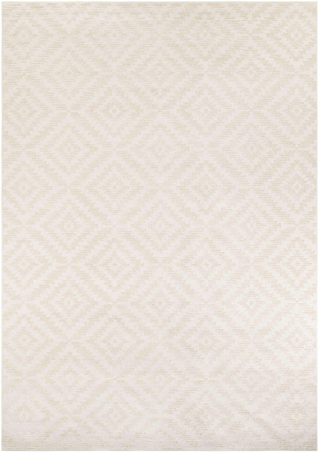 Beige and Ivory 10' x 14' 1 Sabrina Soto Outdoor Rectangle Area Rug Weather Resistant for Patio, Deck, Terrace, Balcony, Porch Durable Carpet for Exterior Home Design for Sale at Rug Engine