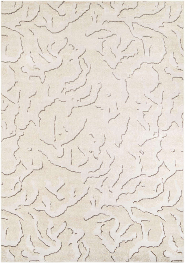 Beige and Ivory 10' x 14' 1 Sabrina Soto Outdoor Rectangle Area Rug Weather Resistant for Patio, Deck, Terrace, Balcony, Porch Durable Carpet for Exterior Home Design for Sale at Rug Engine