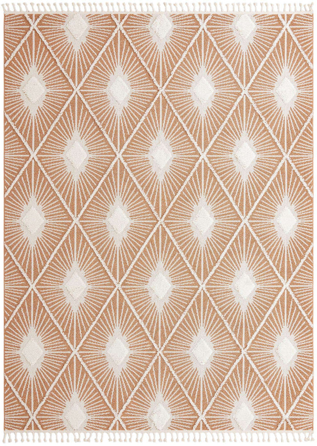 Rust Red 10' x 13' 1 Boho Rectangle Area Rug 100% Polyester With Cotton Backing Geometric Modern Boho Bohemian Decor Carpet for Living Rooms Office Dining Kitchen Unique Interior Design for Sale at Rug Engine