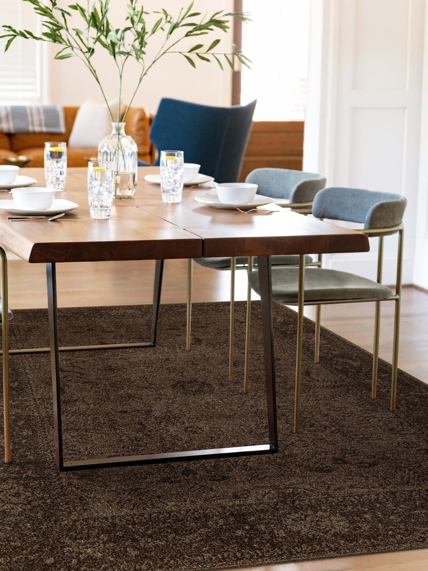 Brown 5' 3 x 8' La Jolla Rectangle Area Rug 100% Polypropylene Traditional Pattern Easy Clean Carpet for Living, Dining, Bedroom, Office for Sale at Rug Engine