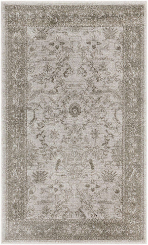 Light Gray 3' 1 x 5' 3 La Jolla Rectangle Area Rug 100% Polypropylene Traditional Pattern Easy Clean Carpet for Living, Dining, Bedroom, Office for Sale at Rug Engine