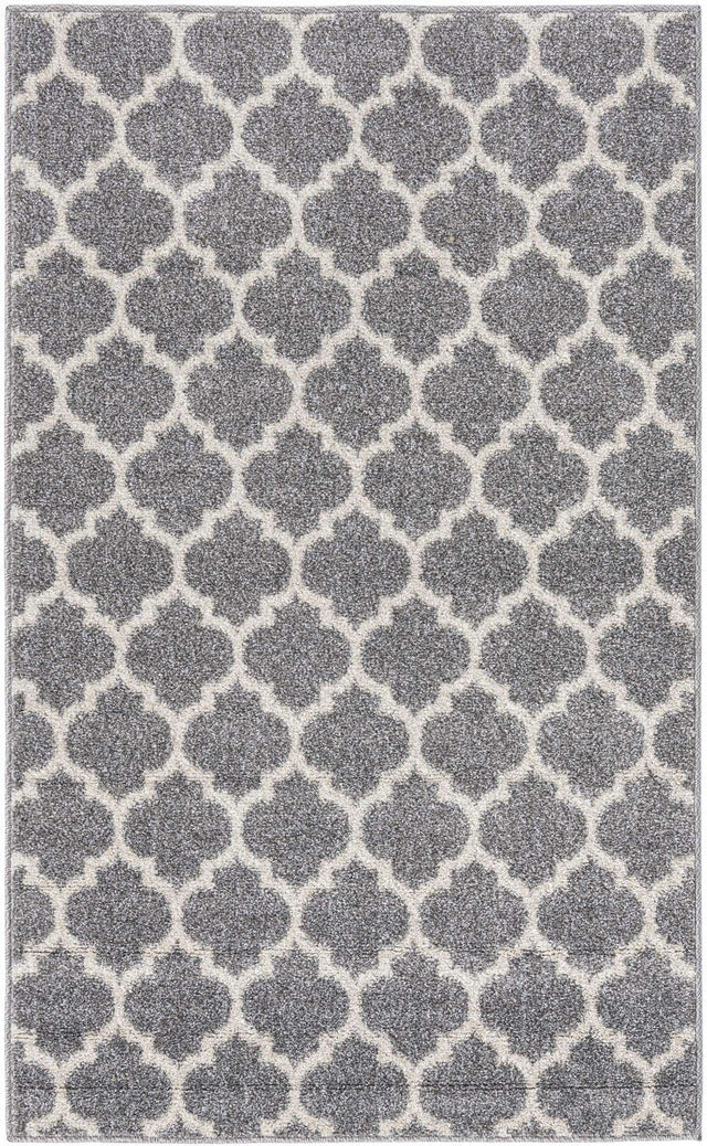 Dark Gray 3' 1 x 5' 3 Trellis Rectangle Area Rug