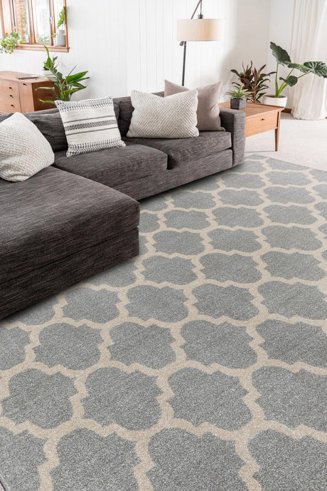 Light Gray 4' 1 x 6' 1 Trellis Rectangle Area Rug Geometric Modern Unique Durable Easy Clean Carpet for Contemporary Interior Design for Sale at Rug Engine